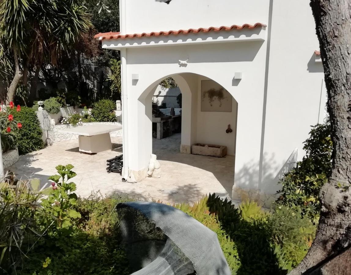 B&B L'Altare Bianco Vieste Dış mekan fotoğraf