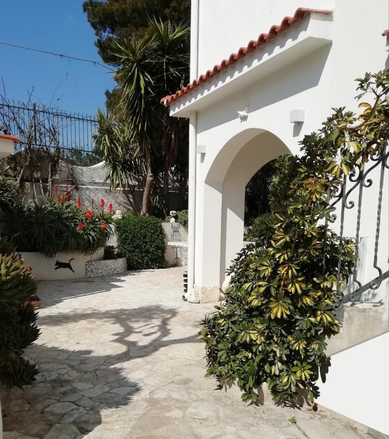 B&B L'Altare Bianco Vieste Dış mekan fotoğraf