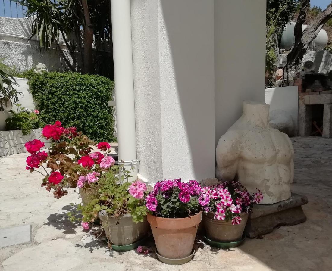 B&B L'Altare Bianco Vieste Dış mekan fotoğraf