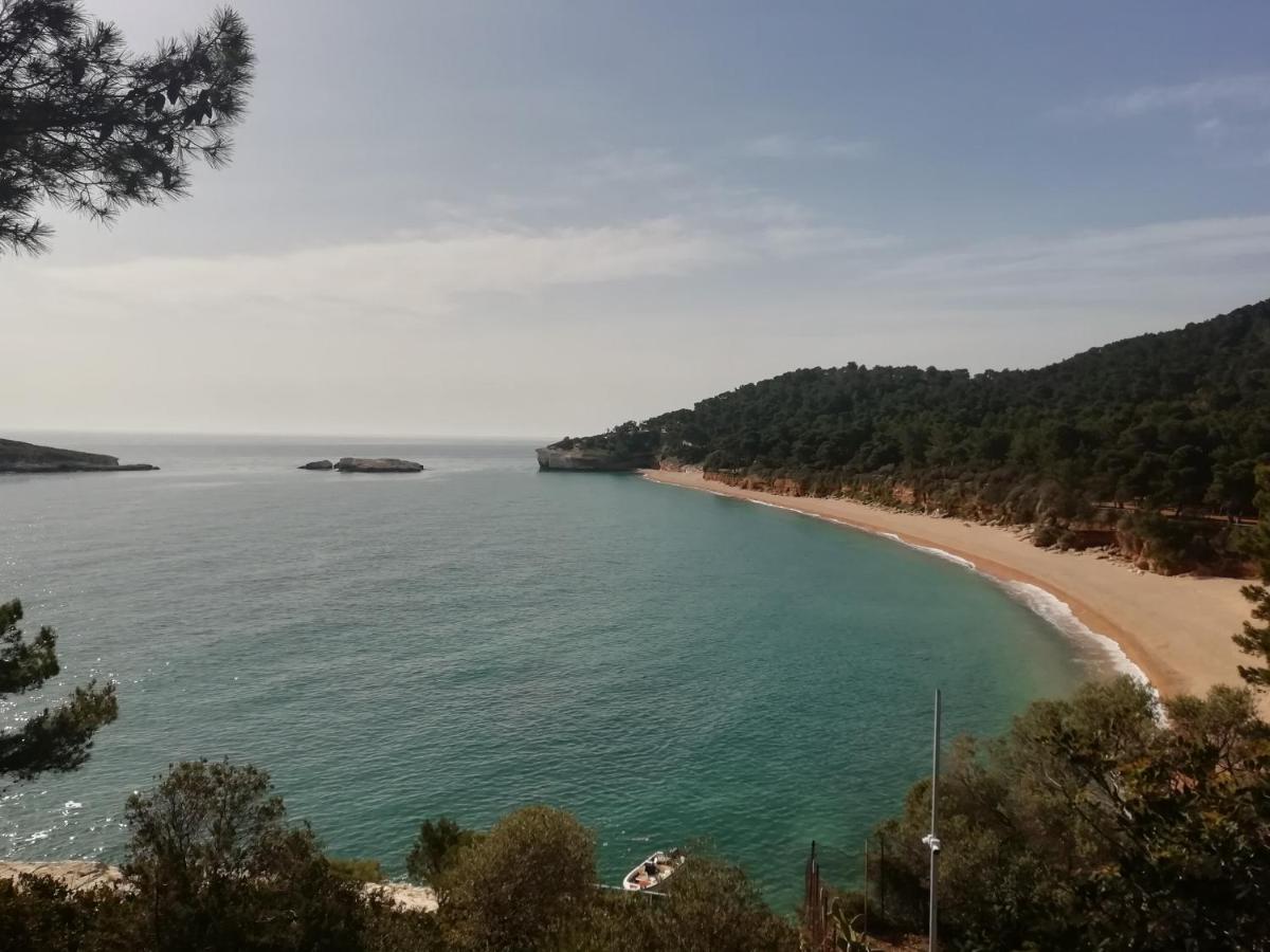 B&B L'Altare Bianco Vieste Dış mekan fotoğraf