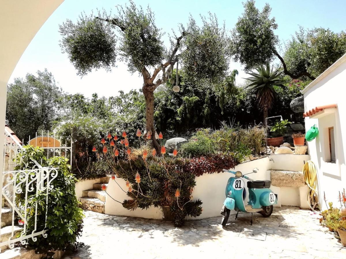 B&B L'Altare Bianco Vieste Dış mekan fotoğraf