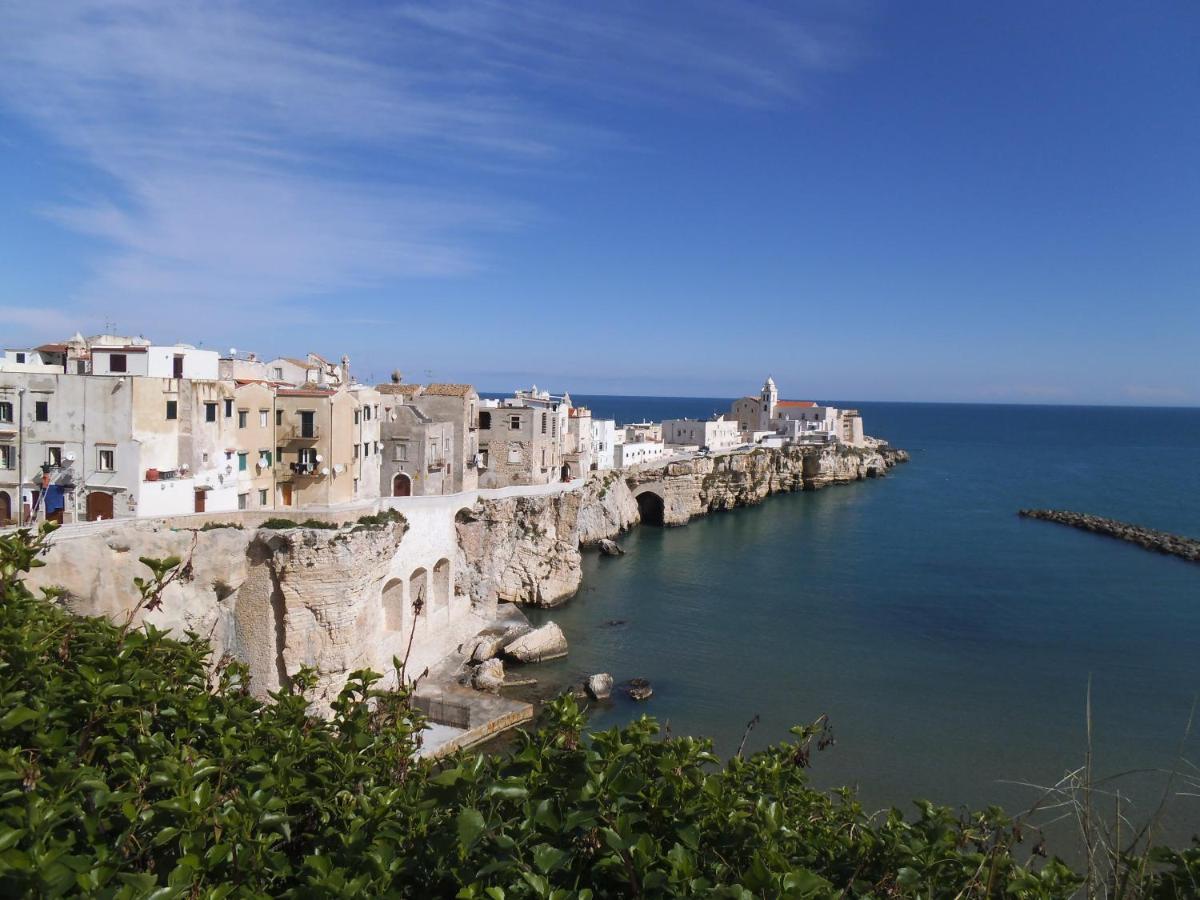 B&B L'Altare Bianco Vieste Dış mekan fotoğraf