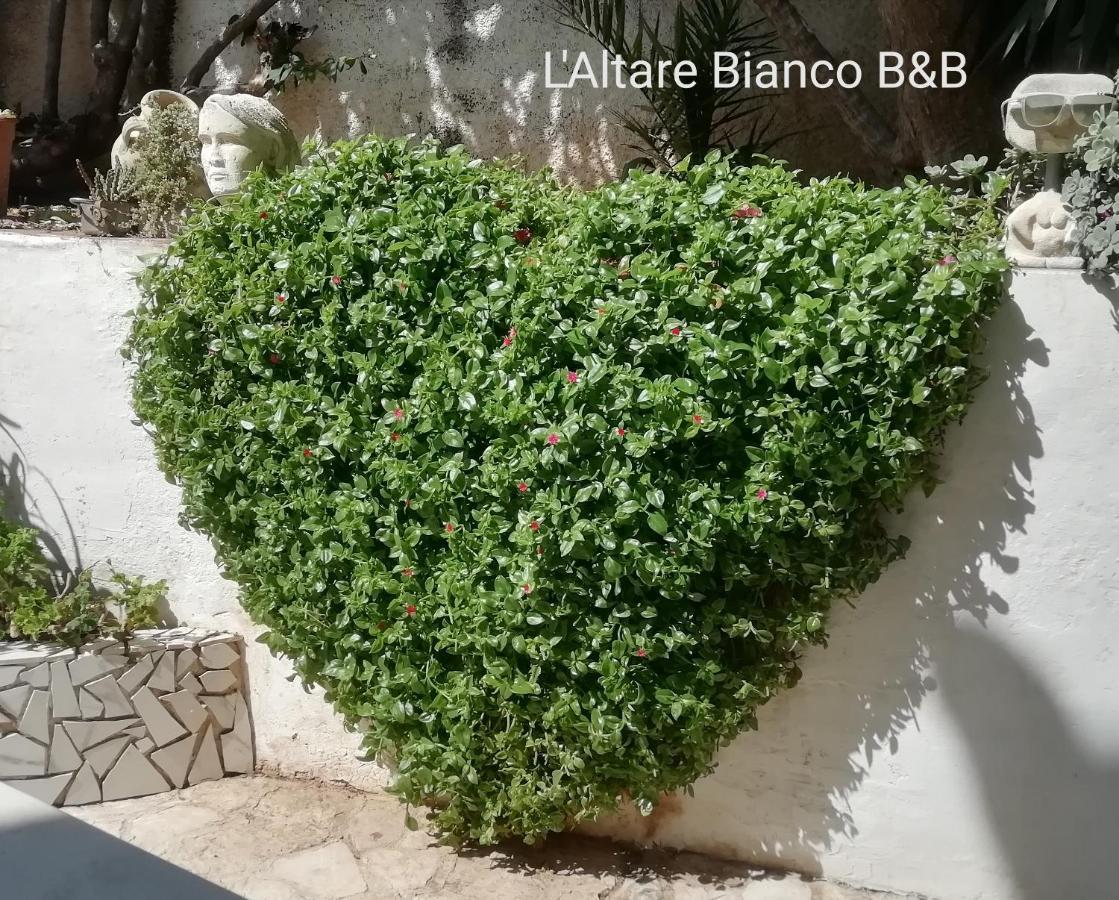 B&B L'Altare Bianco Vieste Dış mekan fotoğraf