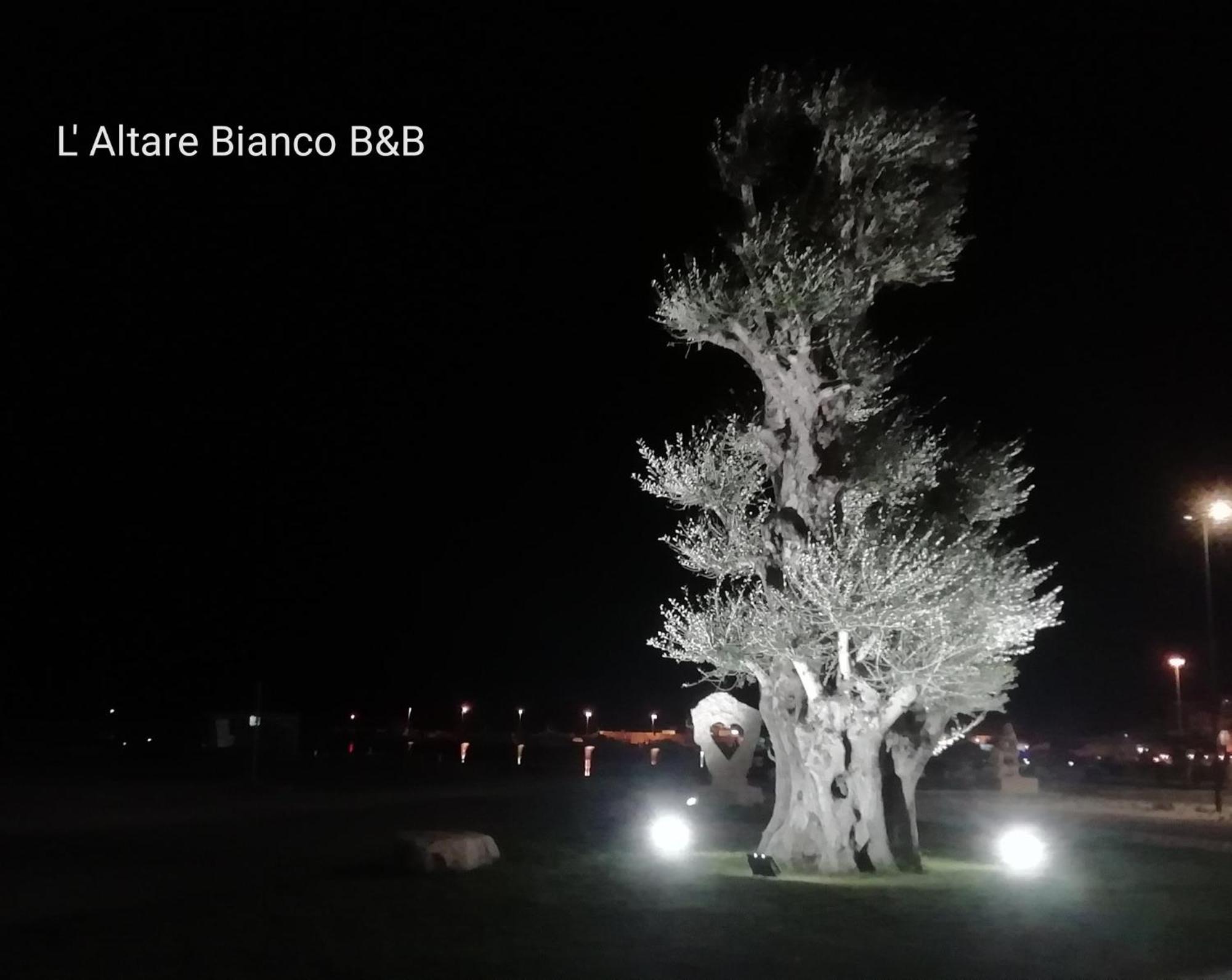 B&B L'Altare Bianco Vieste Dış mekan fotoğraf
