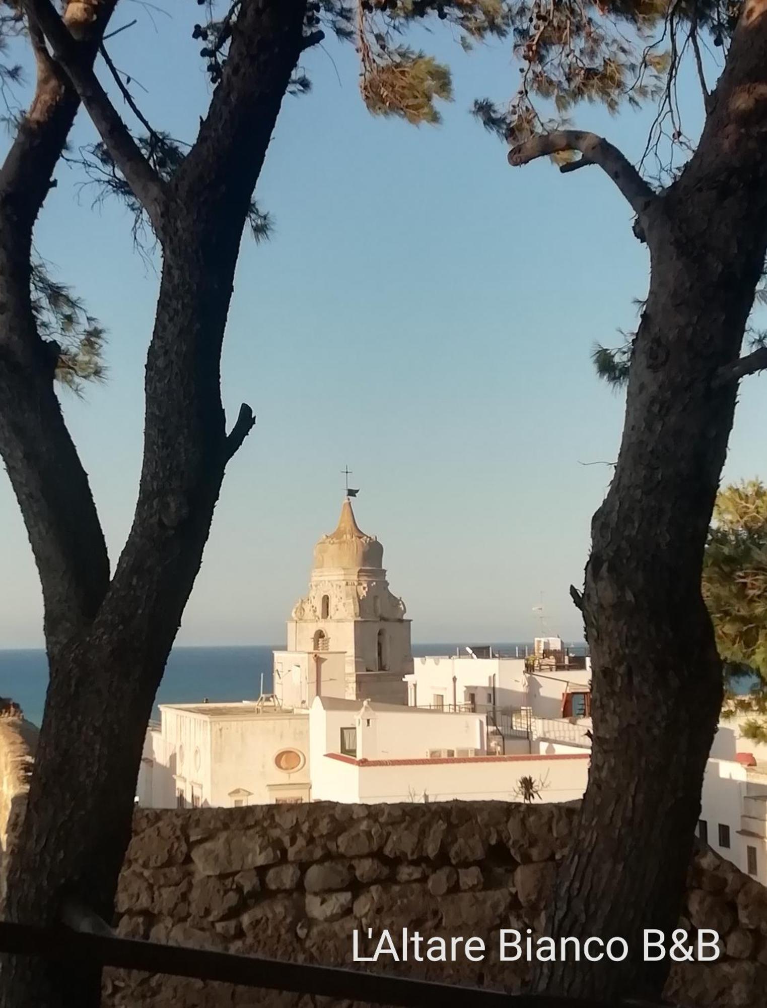 B&B L'Altare Bianco Vieste Dış mekan fotoğraf