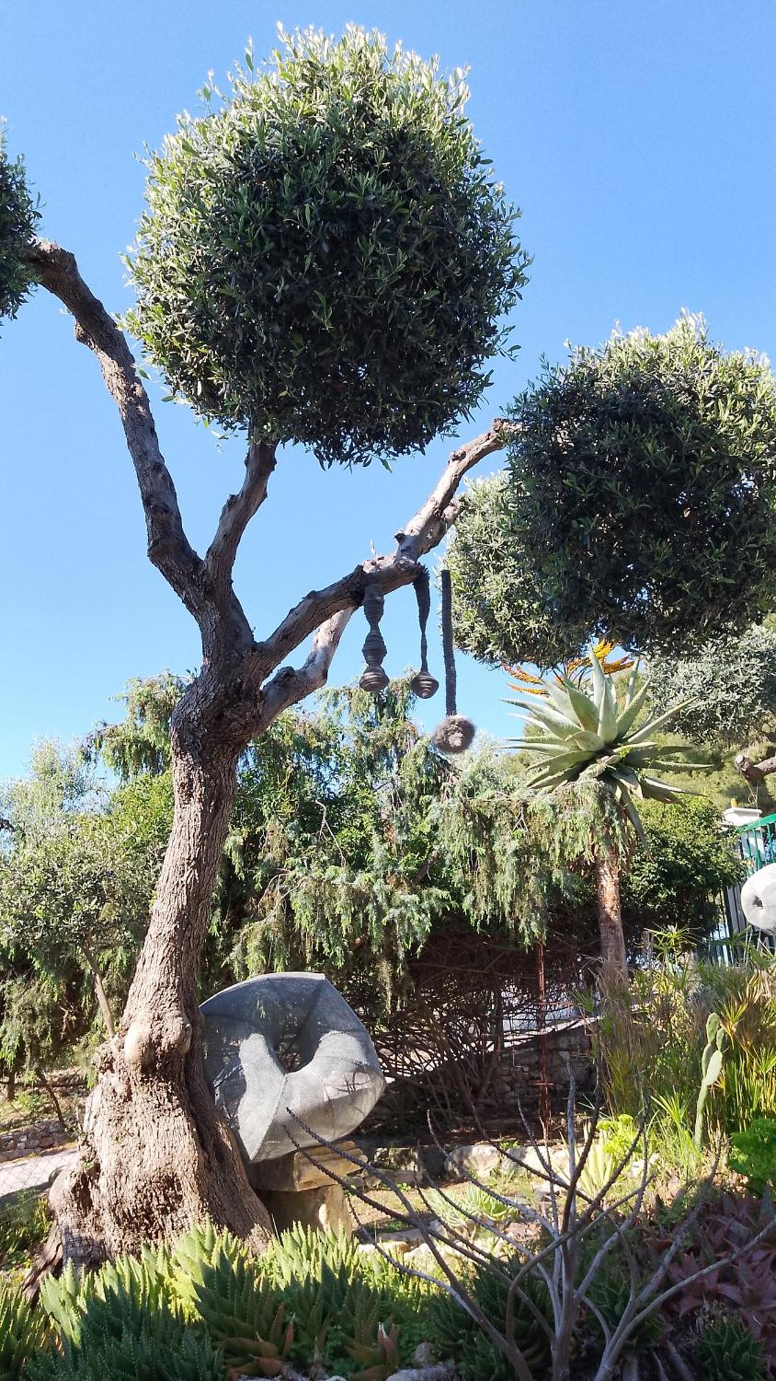 B&B L'Altare Bianco Vieste Dış mekan fotoğraf